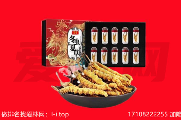 丁青县回收虫草.jpg